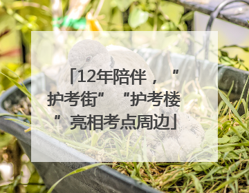 12年陪伴，“护考街”“护考楼”亮相考点周边