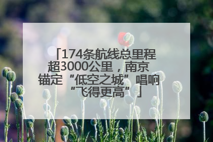 174条航线总里程超3000公里，南京锚定“低空之城”唱响“飞得更高”