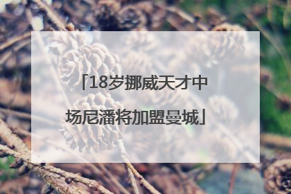 18岁挪威天才中场尼潘将加盟曼城