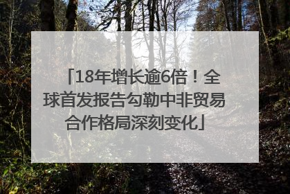 18年增长逾6倍！全球首发报告勾勒中非贸易合作格局深刻变化