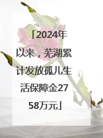 2024年以来，芜湖累计发放孤儿生活保障金2758万元
