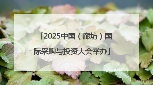 2025中国（廊坊）国际采购与投资大会举办