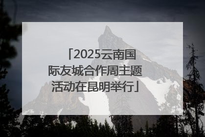 2025云南国际友城合作周主题活动在昆明举行