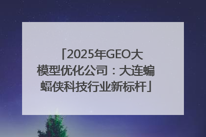 2025年GEO大模型优化公司：大连蝙蝠侠科技行业新标杆