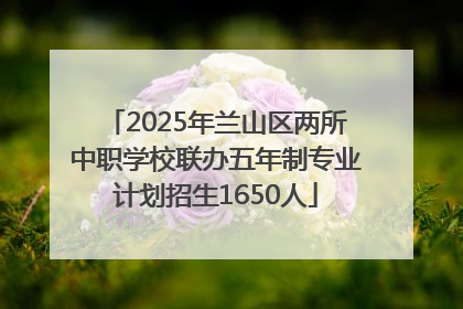 2025年兰山区两所中职学校联办五年制专业计划招生1650人