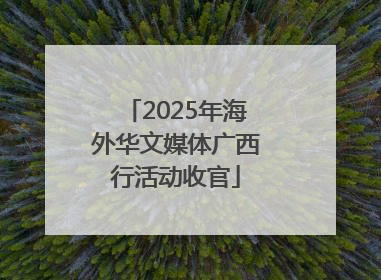 2025年海外华文媒体广西行活动收官