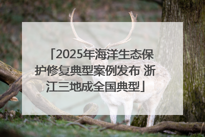 2025年海洋生态保护修复典型案例发布 浙江三地成全国典型