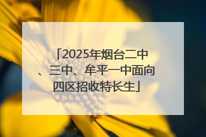 2025年烟台二中、三中、牟平一中面向四区招收特长生