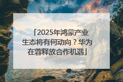 2025年鸿蒙产业生态将有何动向？华为在蓉释放合作机遇