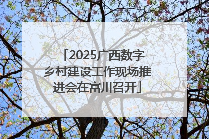 2025广西数字乡村建设工作现场推进会在富川召开