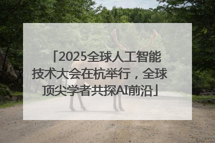 2025全球人工智能技术大会在杭举行，全球顶尖学者共探AI前沿