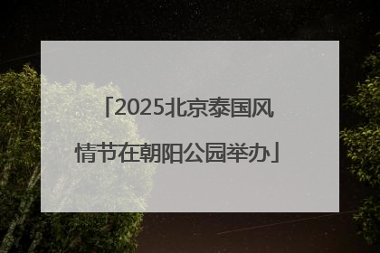 2025北京泰国风情节在朝阳公园举办