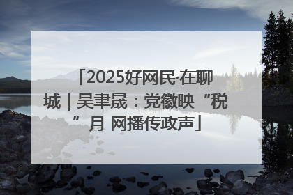 2025好网民·在聊城｜吴聿晟：党徽映“税”月 网播传政声