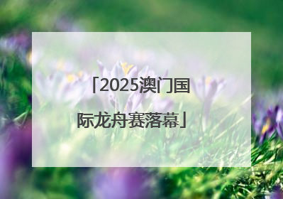 2025澳门国际龙舟赛落幕