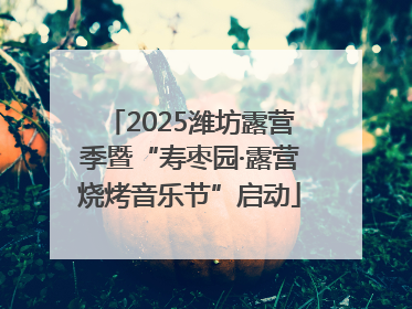 2025潍坊露营季暨“寿枣园·露营烧烤音乐节”启动