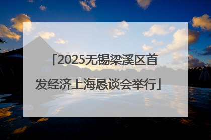 2025无锡梁溪区首发经济上海恳谈会举行