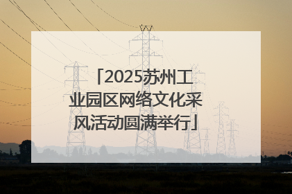 2025苏州工业园区网络文化采风活动圆满举行