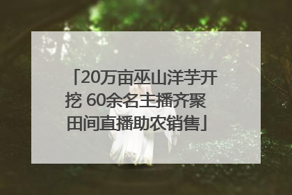 20万亩巫山洋芋开挖 60余名主播齐聚田间直播助农销售