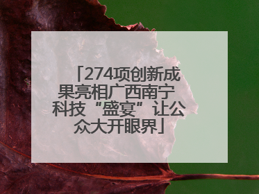 274项创新成果亮相广西南宁 科技“盛宴”让公众大开眼界