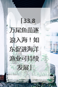 33.8万尾鱼苗逐浪入海！如东促进海洋渔业可持续发展
