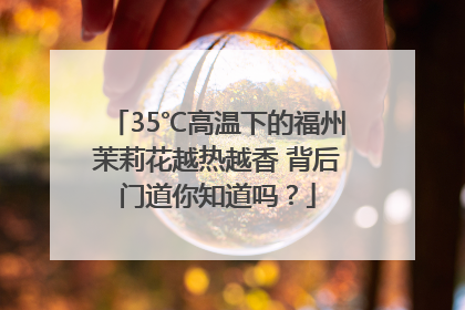 35℃高温下的福州茉莉花越热越香 背后门道你知道吗？