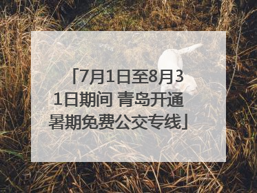 7月1日至8月31日期间 青岛开通暑期免费公交专线