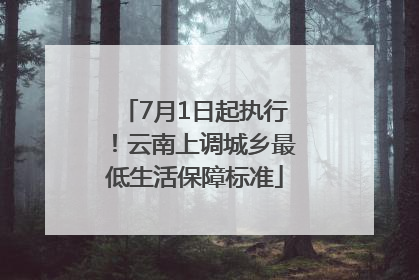 7月1日起执行！云南上调城乡最低生活保障标准