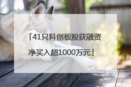 41只科创板股获融资净买入超1000万元