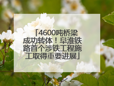 4600吨桥梁成功转体！阜淮铁路首个涉铁工程施工取得重要进展