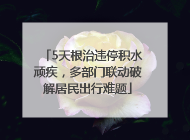 5天根治违停积水顽疾，多部门联动破解居民出行难题