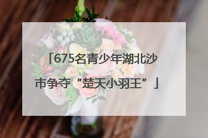 675名青少年湖北沙市争夺“楚天小羽王”