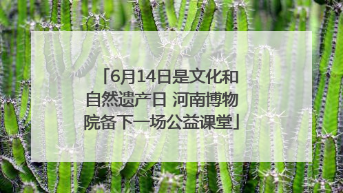 6月14日是文化和自然遗产日 河南博物院备下一场公益课堂