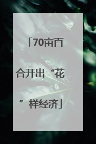 70亩百合开出“花”样经济