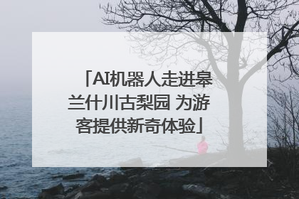 AI机器人走进皋兰什川古梨园 为游客提供新奇体验