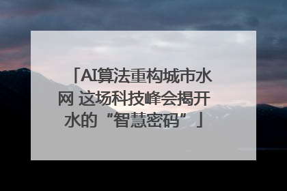 AI算法重构城市水网 这场科技峰会揭开水的“智慧密码”