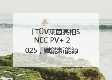 TÜV莱茵亮相SNEC PV+ 2025，赋能新能源产业高质量发展